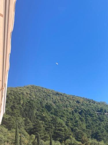 Studio Apartment For Rent In Budva Bagian luar foto
